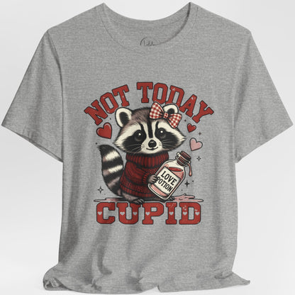 Not Today Cupid Raccoon