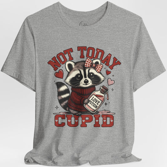 Not Today Cupid Raccoon