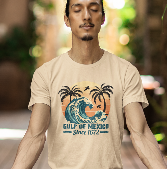 Gulf of Mexico, Since 1672