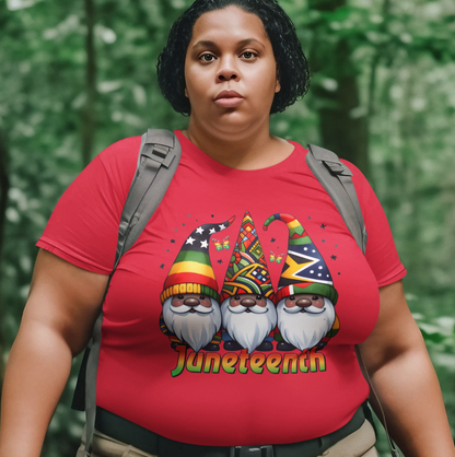 Juneteenth Gnomes