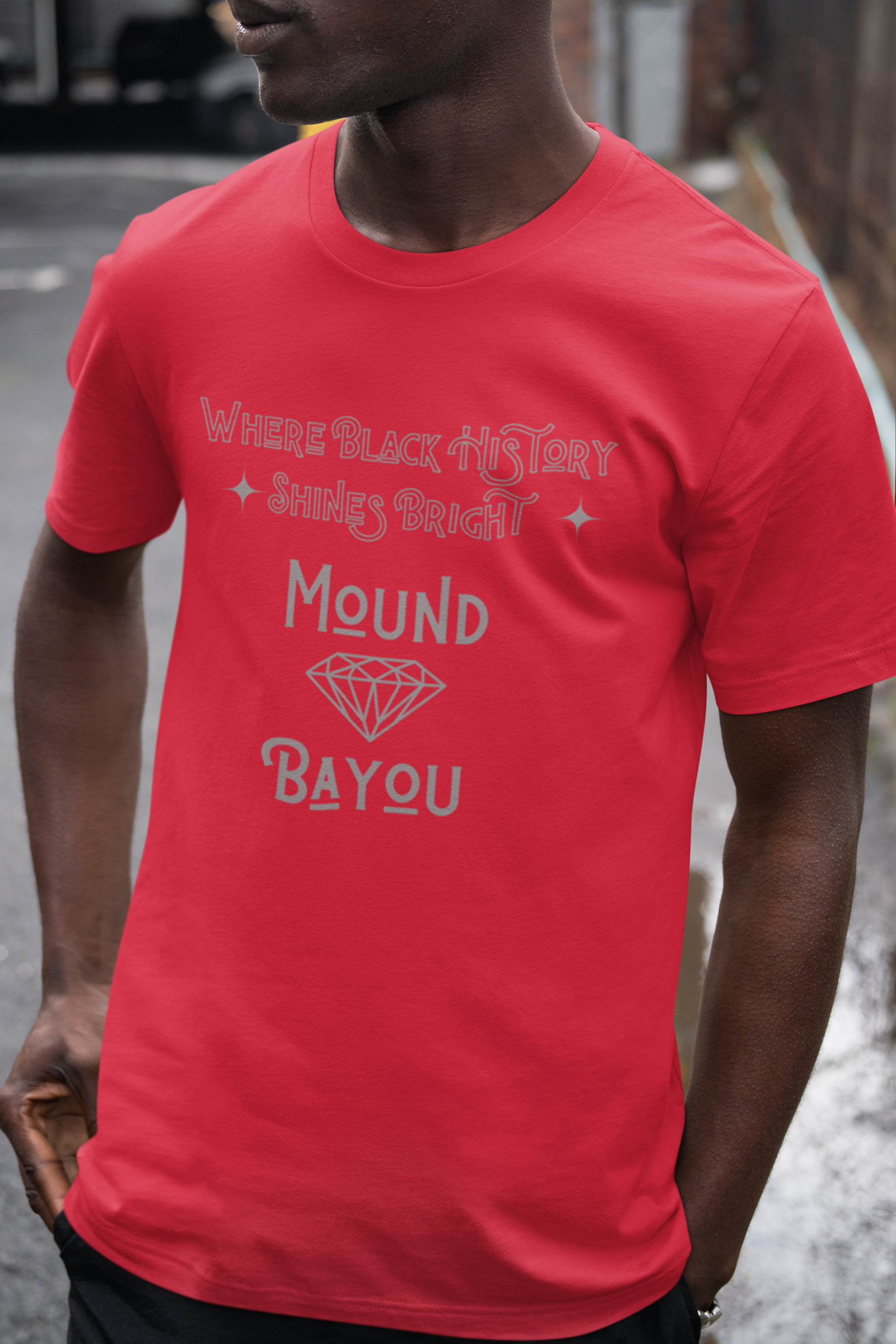 Where Black History Shines Bright - Silver