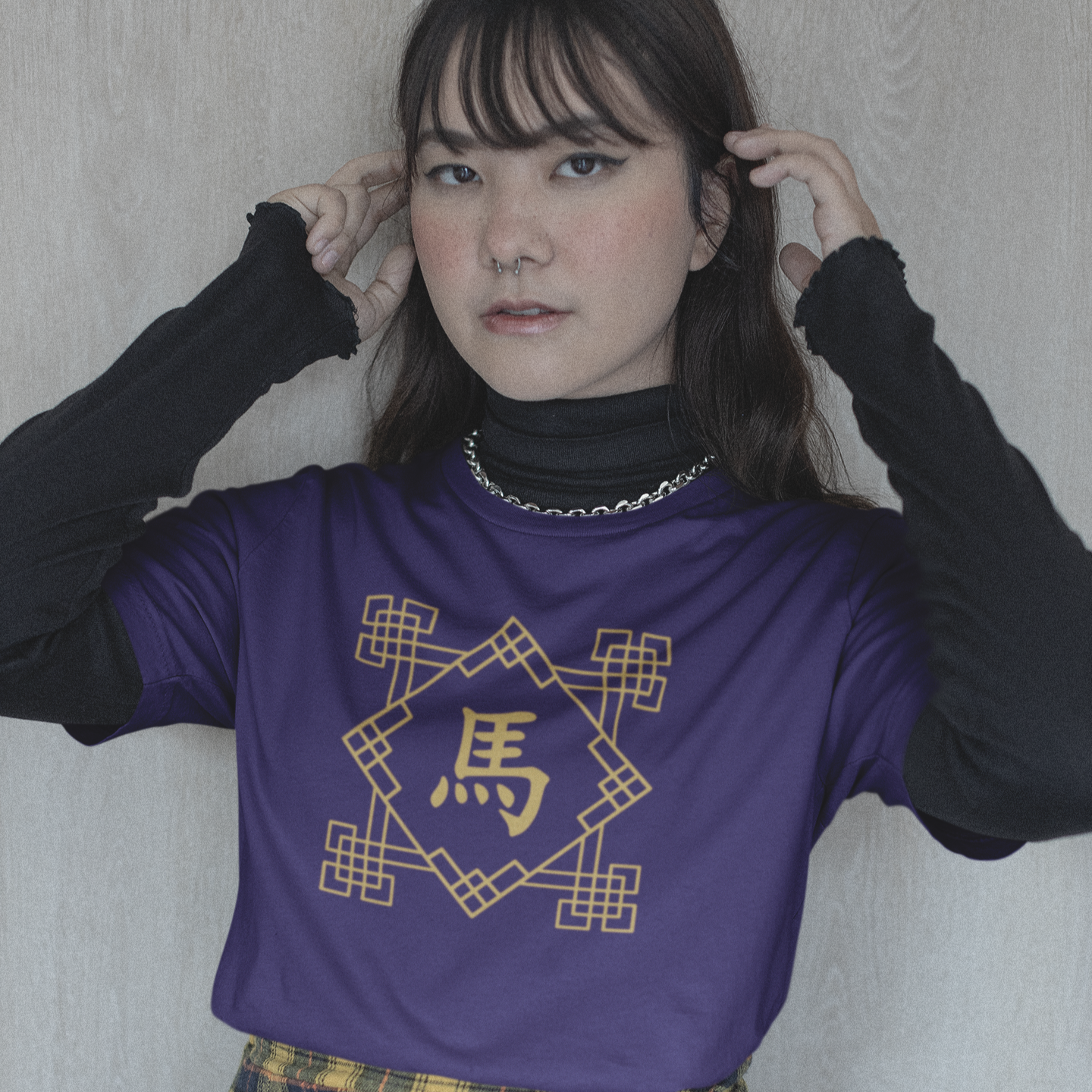 Chinese Zodiac Horse